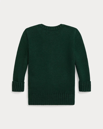 RL Sweater | Pre-Spring Polo Bear Cashmere Sweater Moss Agate Ralph Lauren Luxvian 